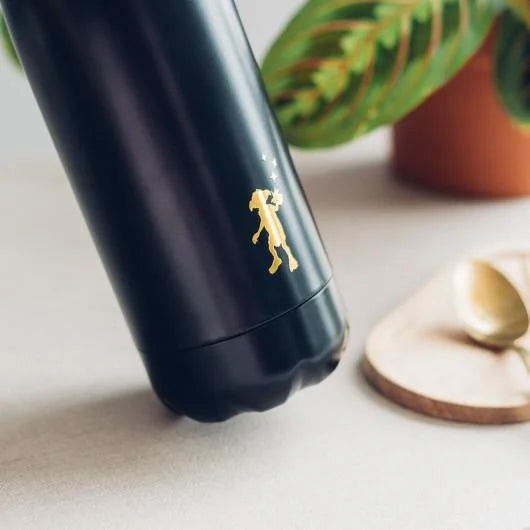 Erik Harry Potter Dobby Hot and Cold Stainless Steel Insulated Bottle - 500ml/17oz 5