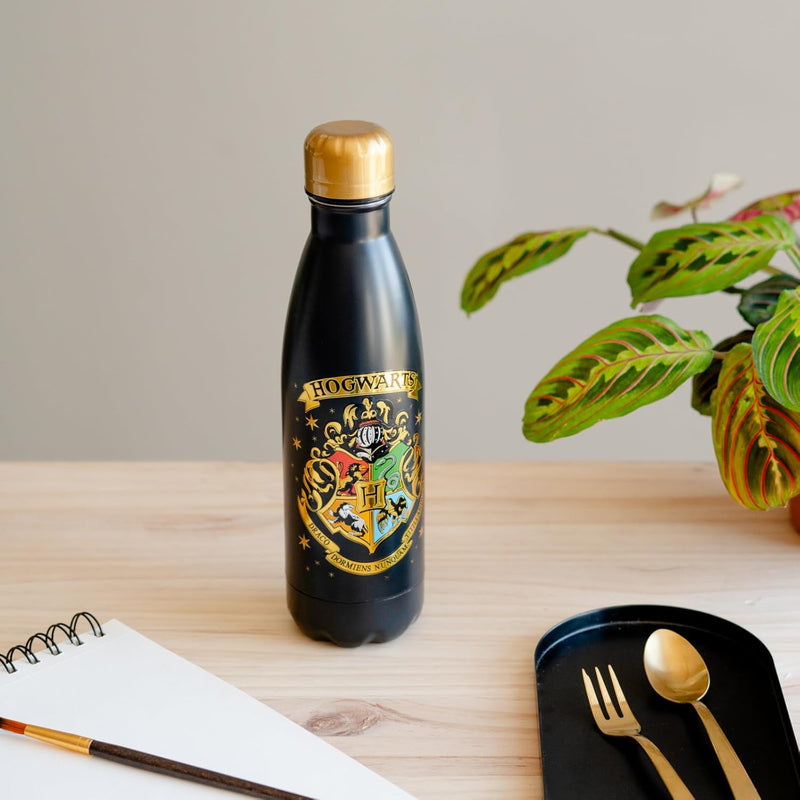 Erik Harry Potter Hogwarts Hot and Cold Stainless Steel Insulated Bottle - 500ml/17oz 2