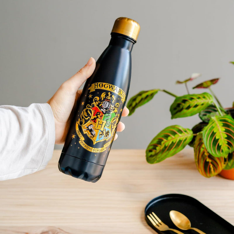 Erik Harry Potter Hogwarts Hot and Cold Stainless Steel Insulated Bottle - 500ml/17oz 7