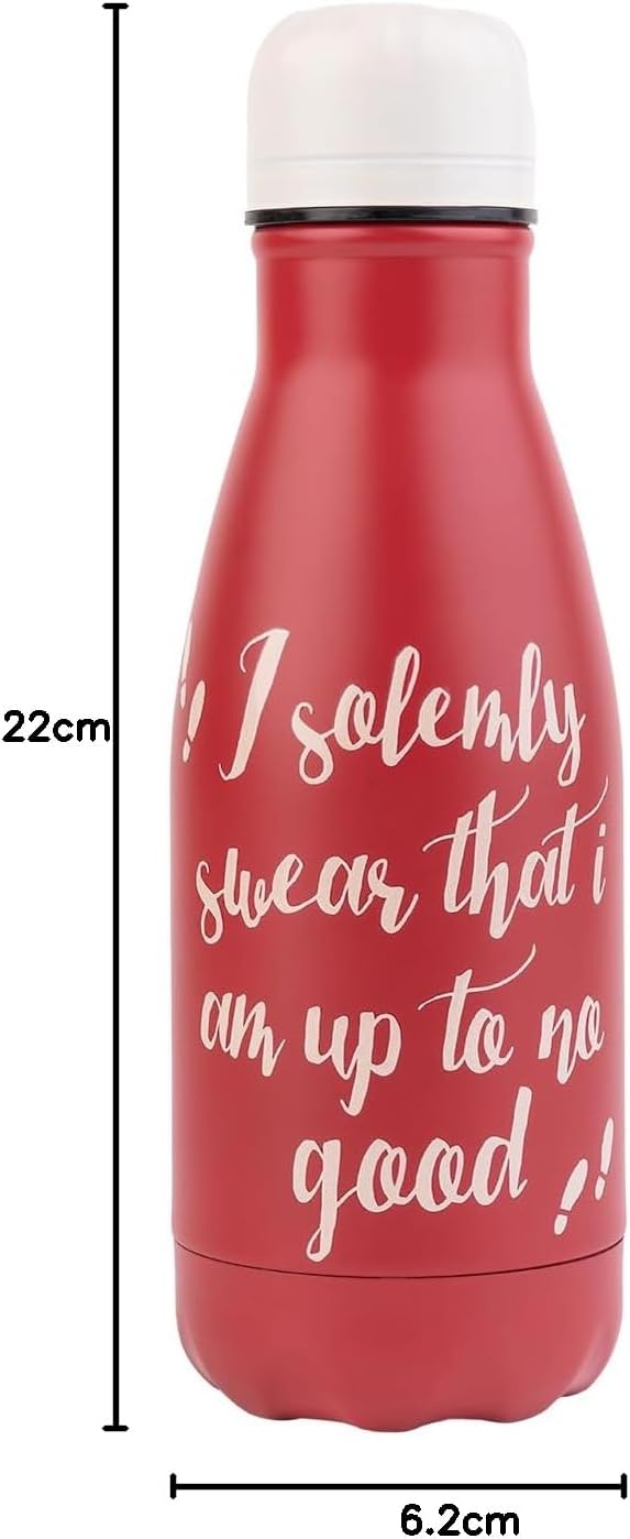 Erik_Harry_Potter_Hot_and_Cold_Stainless_Steel_Insulated_Bottle_-_260ml_9oz 4