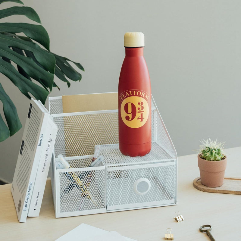 Erik Harry Potter Platform 9 3/4 Hot and Cold Stainless Steel Insulated Bottle - 500ml/17oz 2