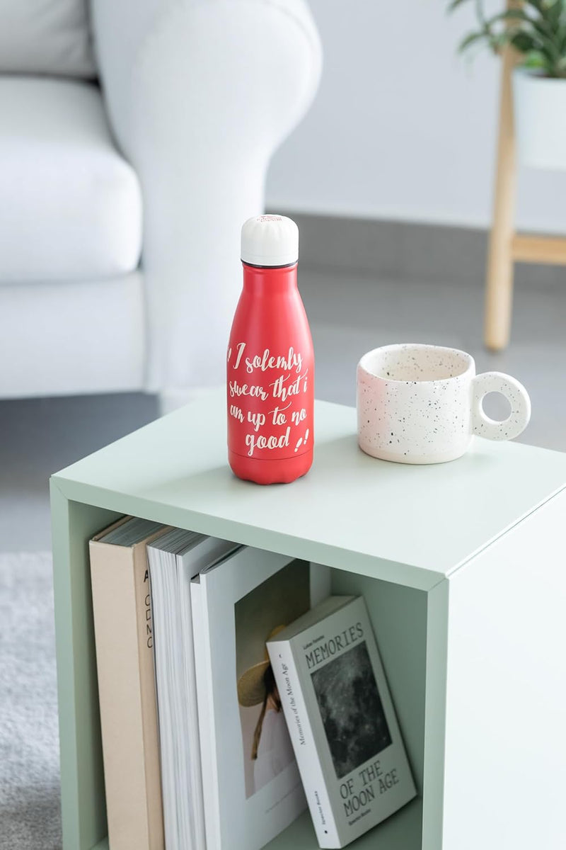 HP260ml9ozimage4Erik_Harry_Potter_Hot_and_Cold_Stainless_Steel_Insulated_Bottle_-_260ml_9oz 7
