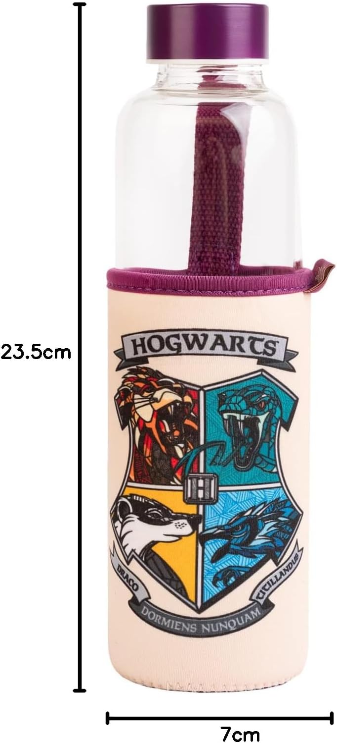 Erik Harry Potter Glass Bottle - 500ml/17oz