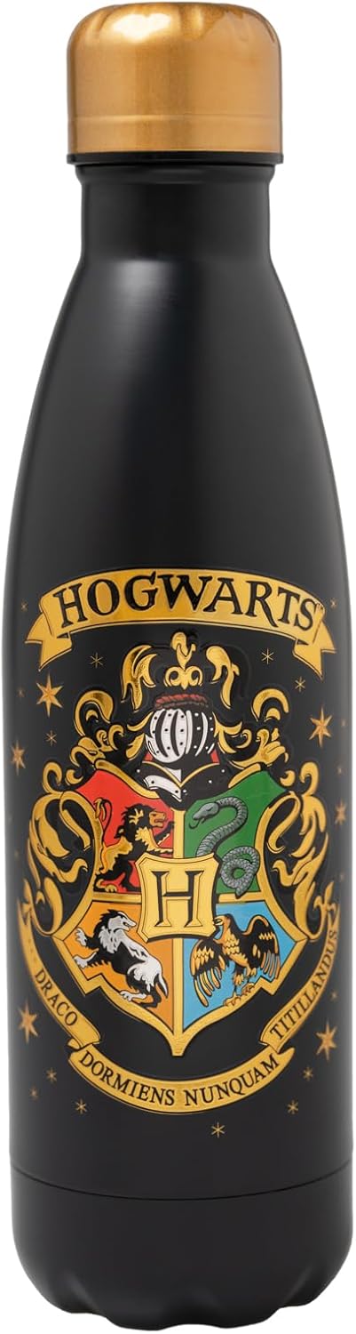 Erik Harry Potter Hogwarts Hot and Cold Stainless Steel Insulated Bottle - 500ml/17oz