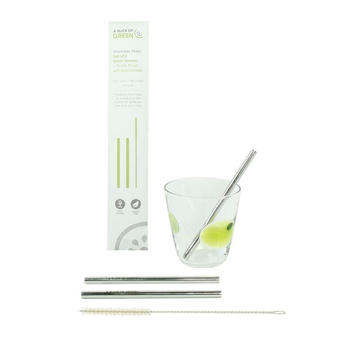 Stainless Steel Short Reusable Drinking Straws - Pack of 2 with brush