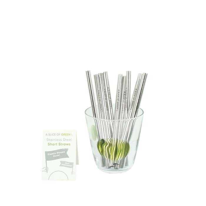 A Slice of Green Brushed Stainless Steel Short Reusable Metal Drinking Straw